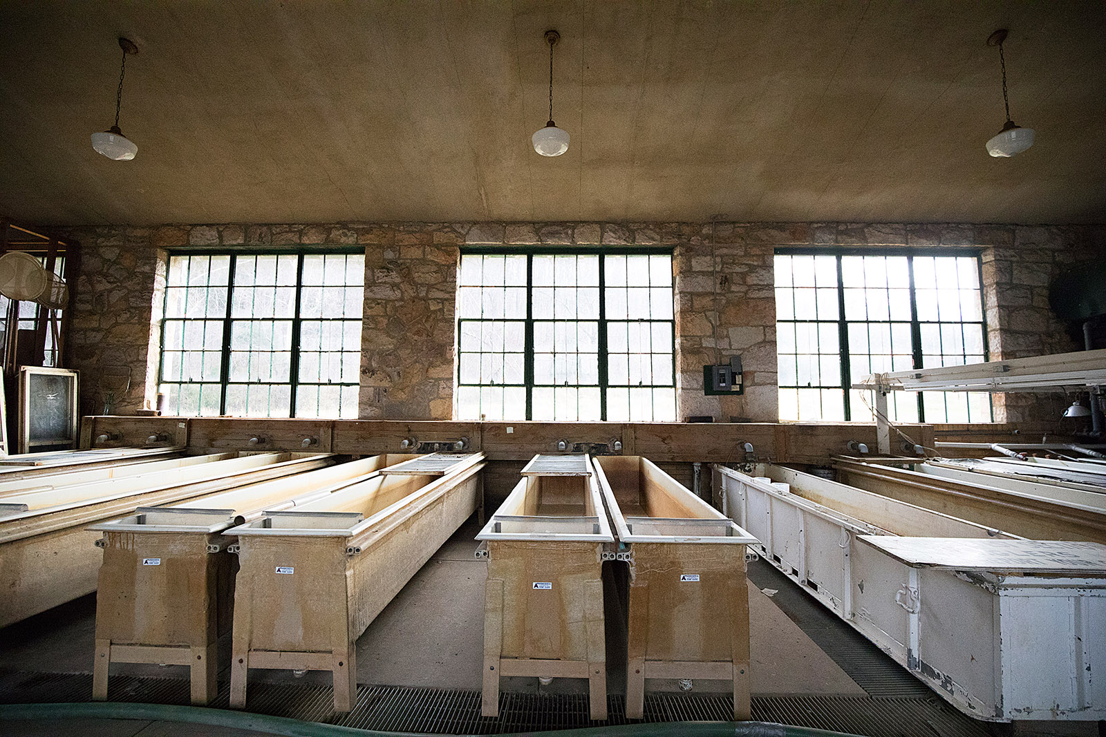 Una imagen de hileras de peceras del programa de cría del 1930original