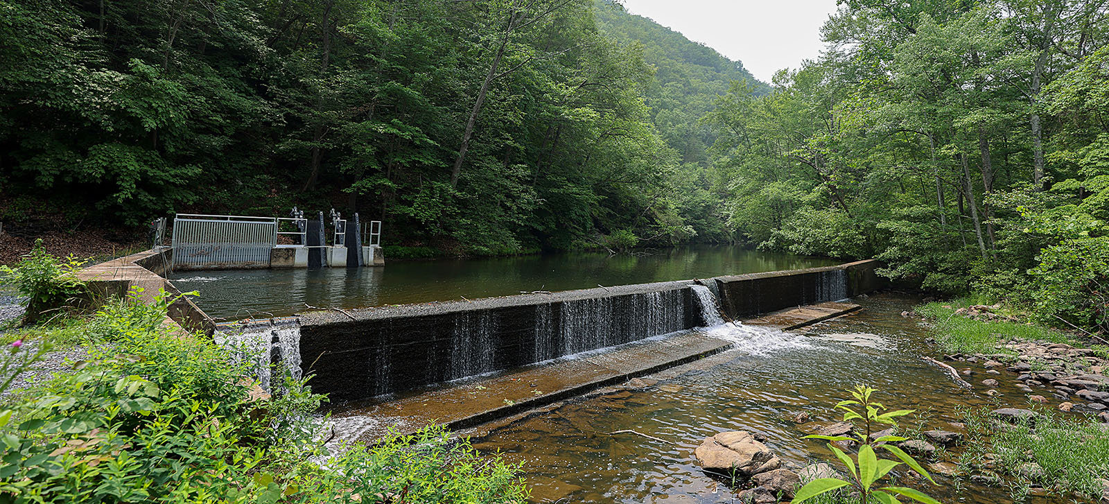 Un sistema de toma de agua recién instalado elimina los desechos del agua de Passage Creek antes de que fluyan hacia los tambores de filtración.