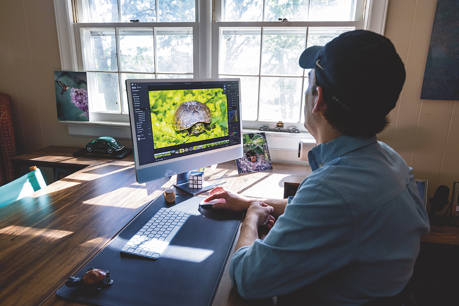 Una foto de un hombre sentado frente a una computadora con una foto de una tortuga en el monitor.