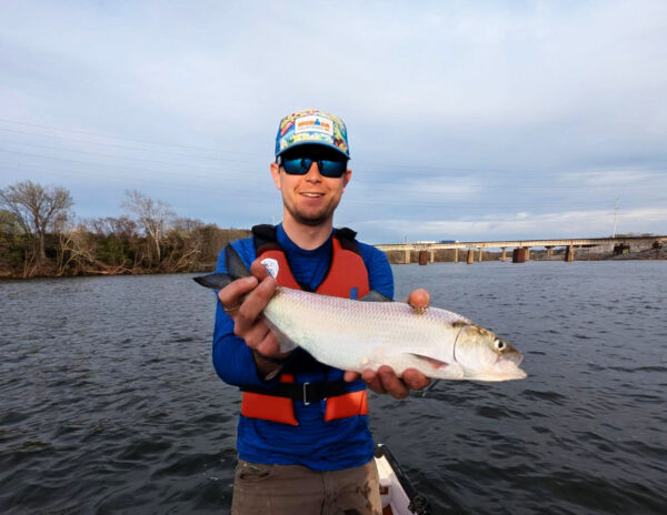 Un hombre sostiene un pez sábalo americano hacia la cámara y sonríe para la foto mientras está en un cuerpo de agua.