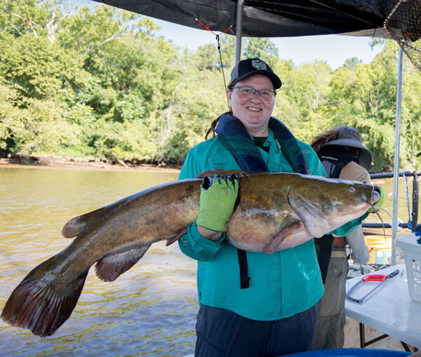 Una imagen de una mujer sosteniendo un gran bagre de cabeza plana