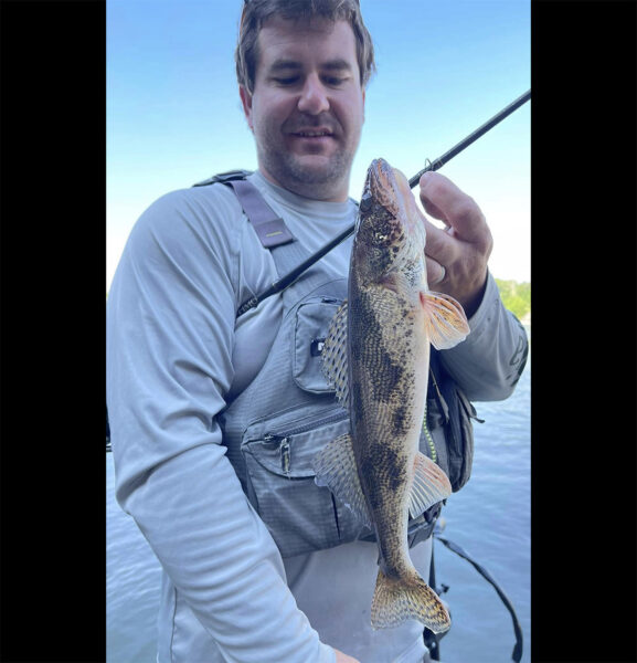 Una imagen de Sauger