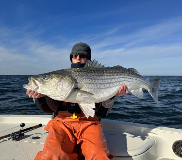 Imagen de un hombre sosteniendo una gran lubina en un barco