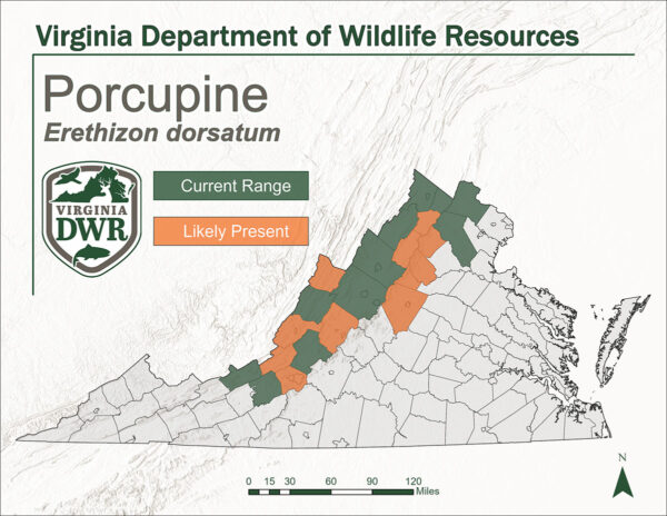 Un mapa que muestra la distribución del puercoespín en Virginia