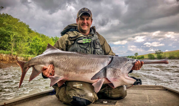 Una imagen de Pez espátula