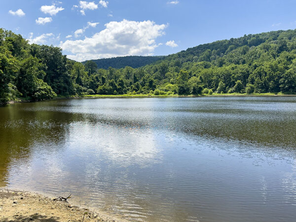 El lago Thompson atrae libélulas, mariposas y aves acuáticas. Crédito de la foto: Lisa Mease