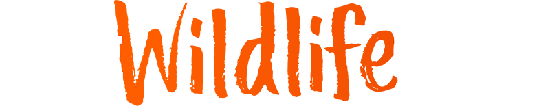 Verdadero Crimen contra la Vida Silvestre