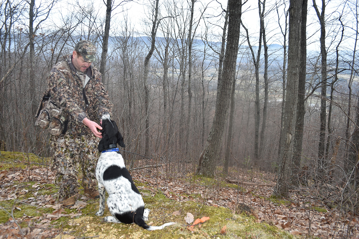 Bailey sentado a los pies de su dueña mientras él le dice "que vaya a buscarlos de nuevo" después de que falla la primera dispersión.