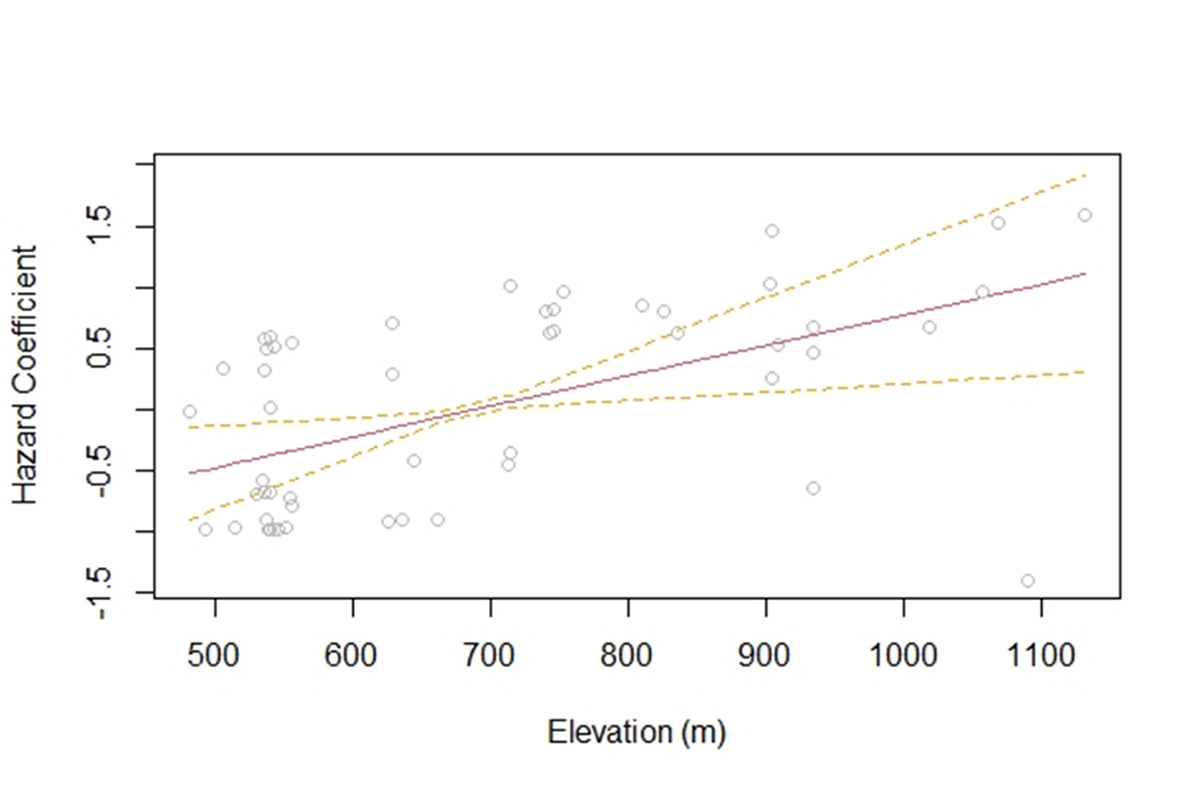 La elevación fue una característica significativa del hábitat en la predicción de la supervivencia de los cervatillos en el condado de Bath, con un mayor riesgo de mortalidad de cervatillos (eje y, coeficientes de peligro) asociado con el aumento de las elevaciones (eje x, elevación en metros).