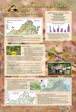 Haga clic para abrir el resumen de2 VBBA en formato PDF