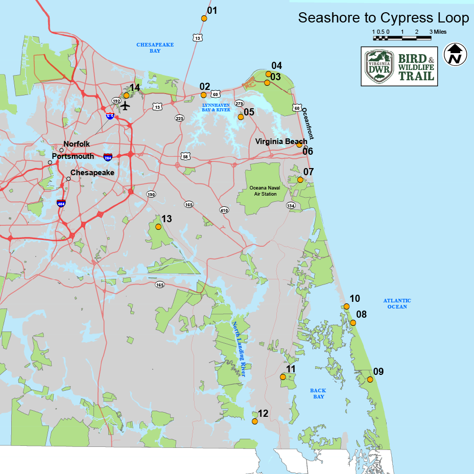 Haga clic para abrir el mapa en una nueva pestaña del circuito de Seashore a Cypress