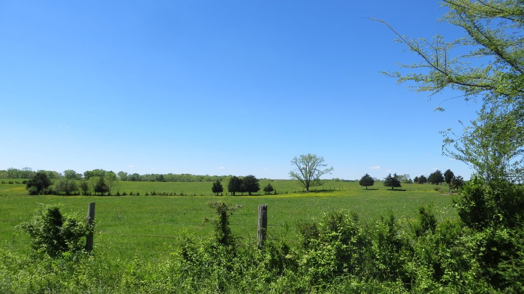 Un prado bordeado por cercas con árboles escasos