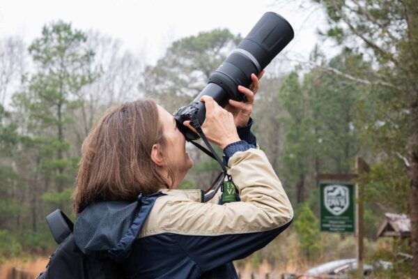 Una persona tomando una foto con una cámara apuntando hacia las copas de los árboles