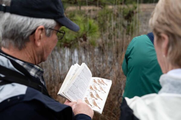 Un hombre señala varias ilustraciones de aves en una guía de campo mientras otra persona mira