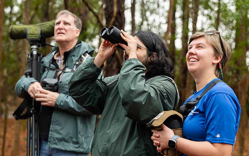 Preguntas frecuentes sobre Virginia Birding Classic | Virginia DWR