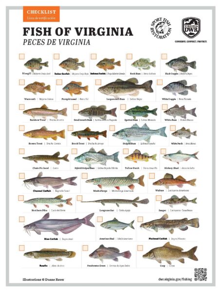 Vista previa en miniatura de la lista de verificación para la pesca en Virginia.