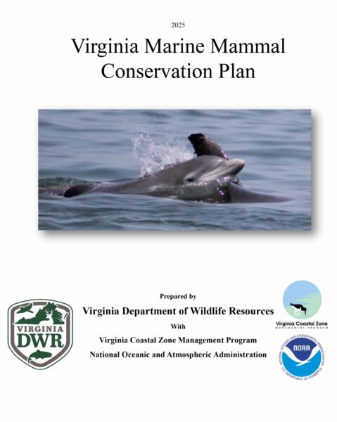 Cobertura del Plan de Conservación de Mamíferos Marinos de Virginia