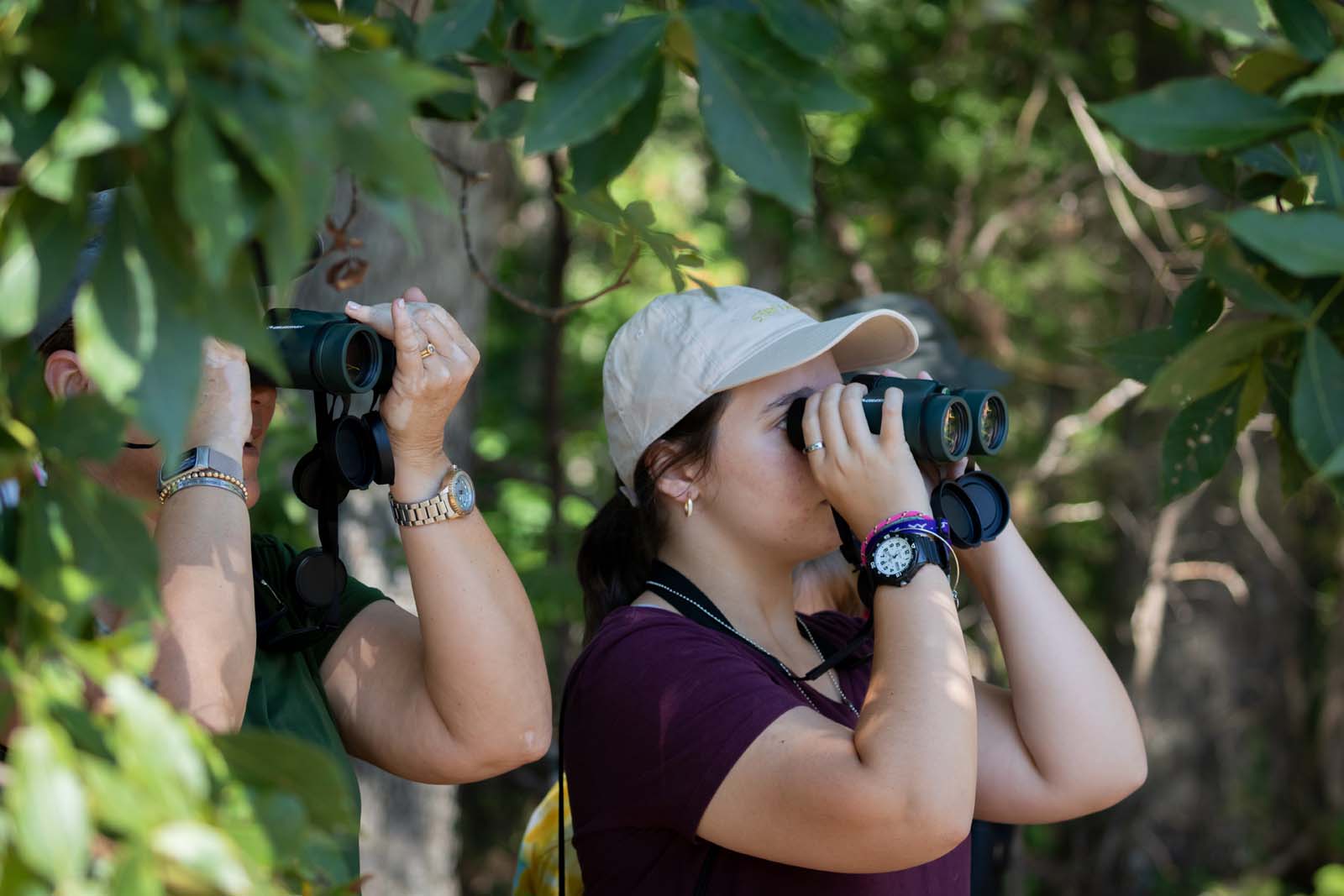 Una imagen relacionada con este tema