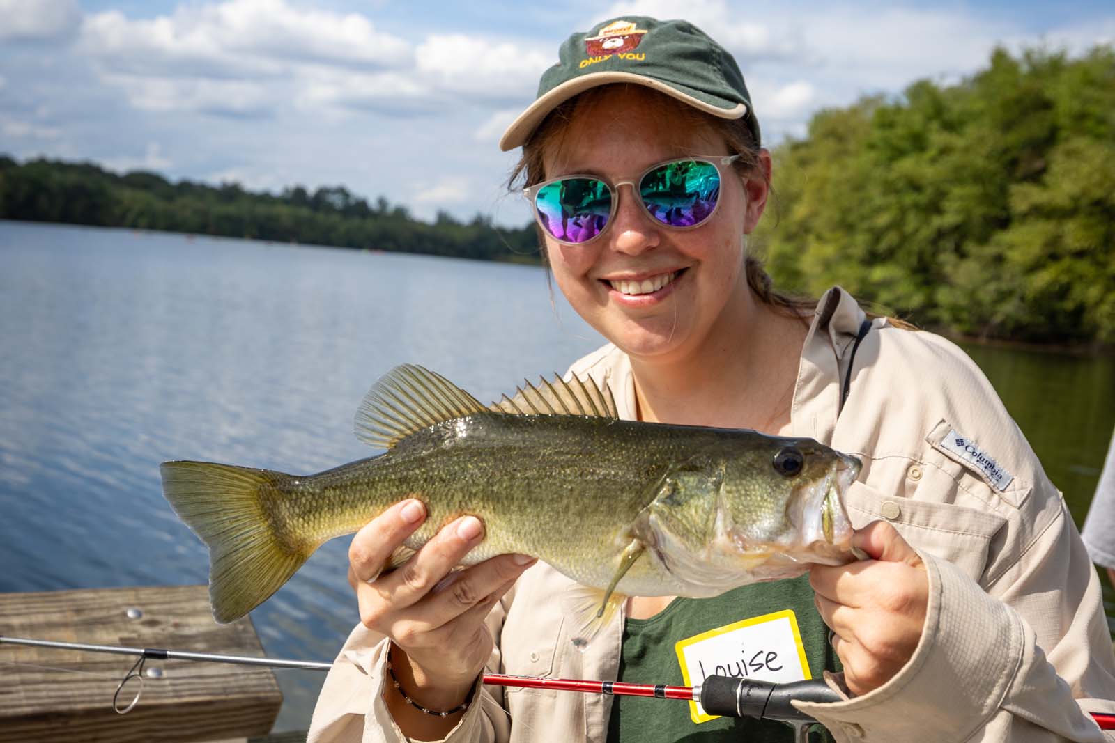 Una imagen relacionada con este tema