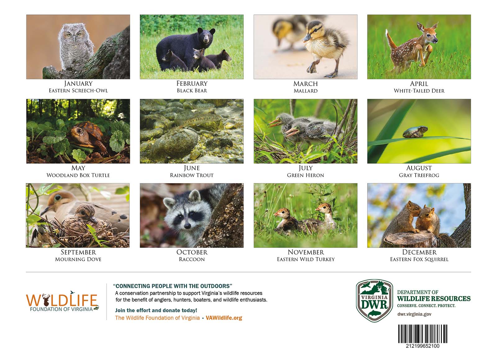 Contraportada del Calendario de Vida Silvestre de 2027 Virginia, con las diversas imágenes incluidas en cada mes
