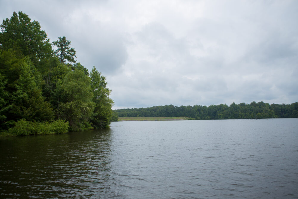 La imagen de un lago bordeado de árboles