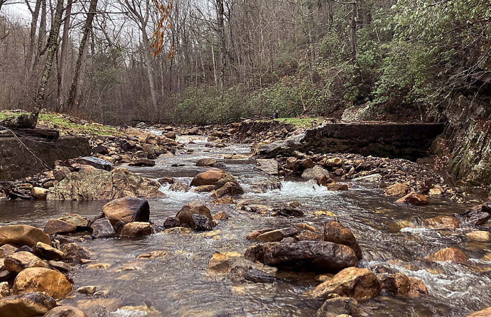 Una imagen de un río con una presa de hormigón removida visible a ambos lados del arroyo; Esto permite el movimiento de los organismos de un lado a otro de la frontera previamente impenetrable