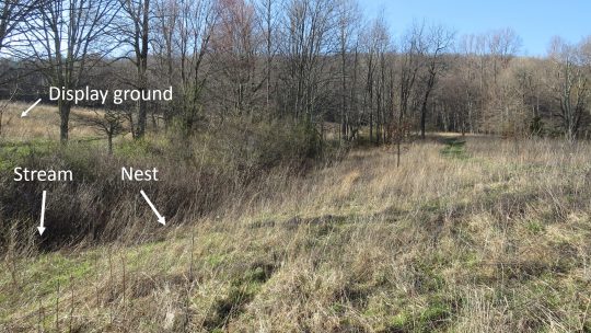 Ubicación del nido de becada americana en el bloque del atlas SW VA