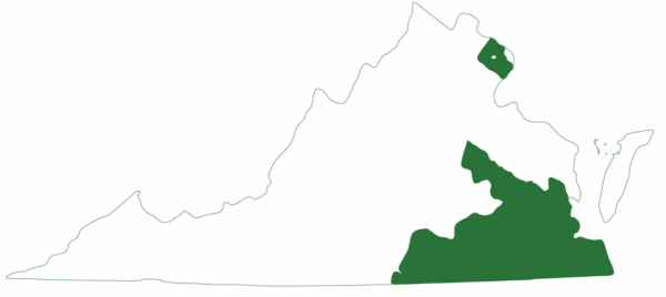 La tortuga de vientre amarillo se encuentra en toda la región oriental inferior de Virginia