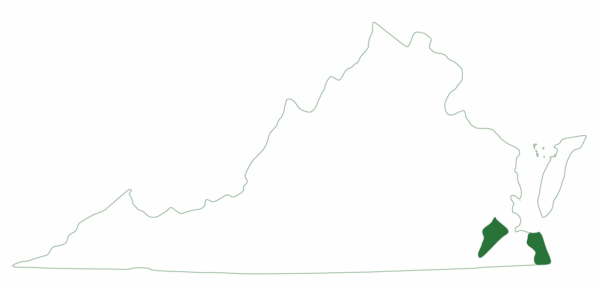 El mapa de distribución de la tortuga gallina; solo se encuentra en dos lugares dentro de Virginia