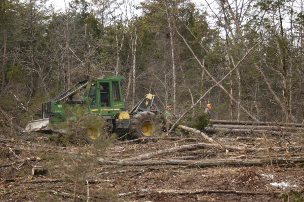 Un vehículo de construcción que participa en la tala rasa de un bosque para crear un hábitat para los ciervos.