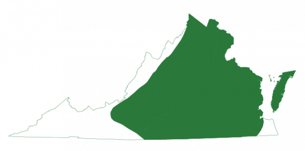 El pie de pala oriental se encuentra en las islas barrera de Virginia y en las provincias costeras y de piedemonte