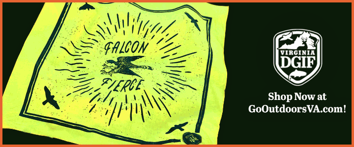 Haga clic en la imagen para abrir el enlace al sitio web de la tienda DWR