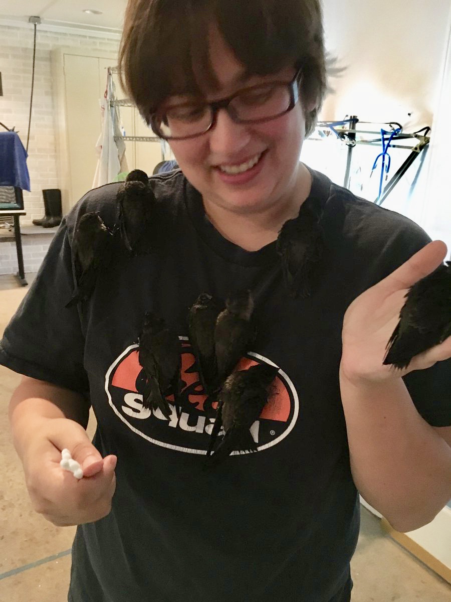 Haley Olsen-Hodges sosteniendo polluelos de Chimney Swift