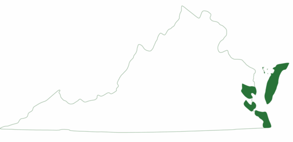 La tortuga laúd solo se encuentra en regiones selectas de la costa este de Virginia.