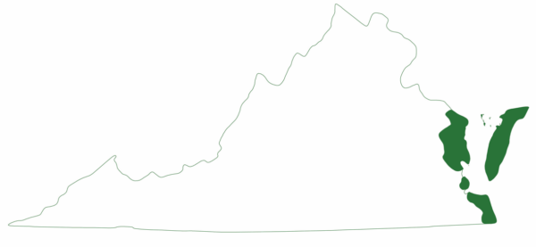 La tortuga boba se encuentra en regiones selectas de la costa este de Virginia.