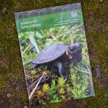 TiendaDGIF-turtleguide01_An enlace al sitio web de la DGIF