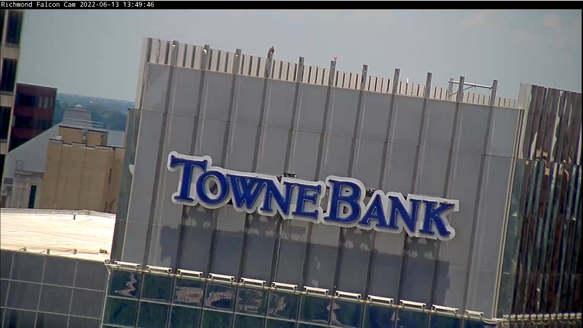 La misma ubicación de Red en la cima de Towne Bank como se ve desde la transmisión en vivo de la cámara.
