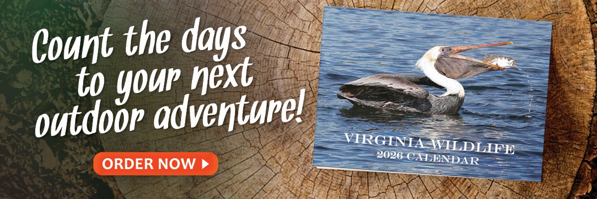 Cuente los días para su próxima aventura al aire libre con el Calendario de Vida Silvestre de Virginia 2026