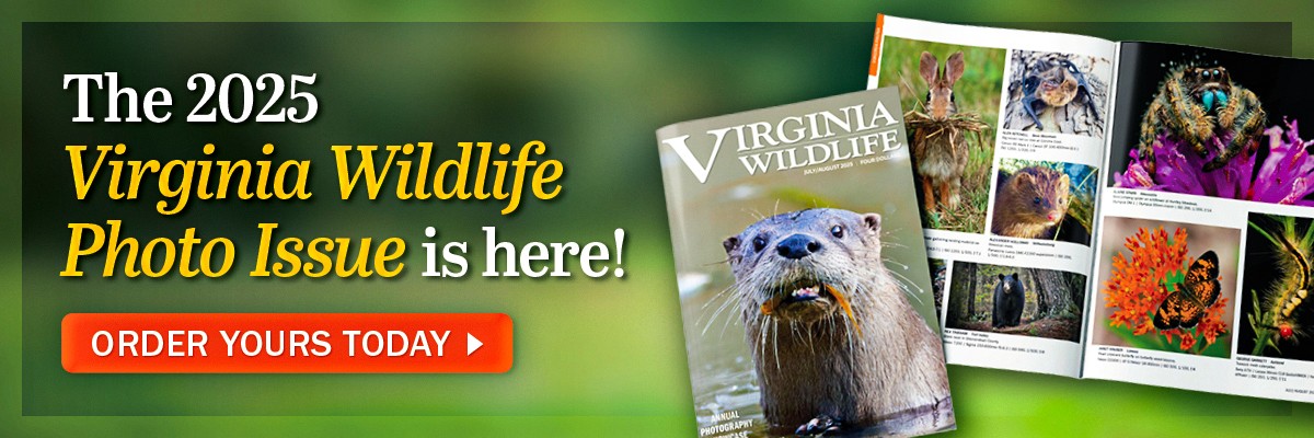 The 2025 Virginia Wildlife Photo Issue con una nutria en su portada.
