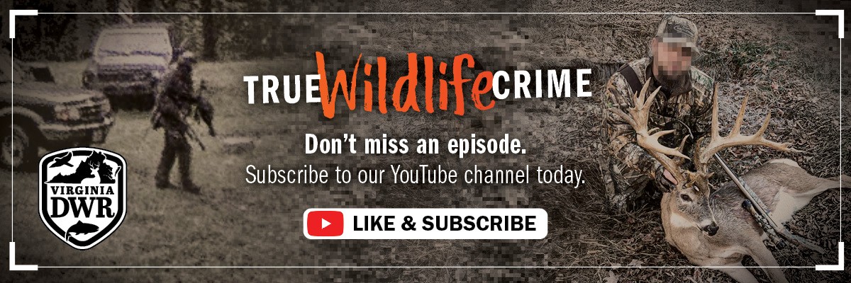 ¡No te pierdas ni un episodio de True Wildlife Crime! Suscríbete a nuestro canal de YouTube hoy mismo. 
