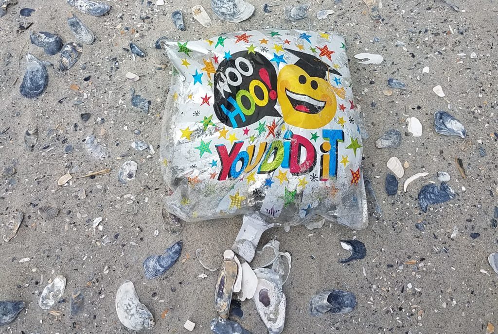 Una imagen de un globo encontrado en el sitio de anidación después de que apareció en la playa