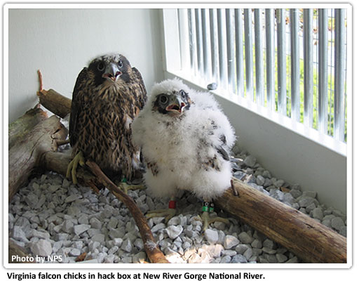 recovery-efforts-western-virginia