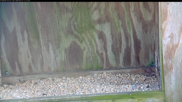 Un rasguño en la caja nido del edificio Riverfront Plaza,