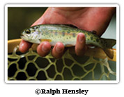 warming-waters-send-warnings